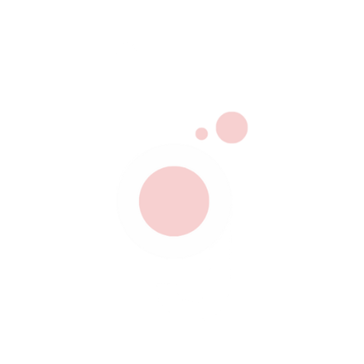 The Bubblegum Co Logo
